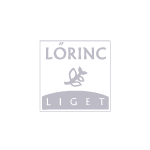 AVICO-GROUP-REBRANDING-2020-01-lorinc